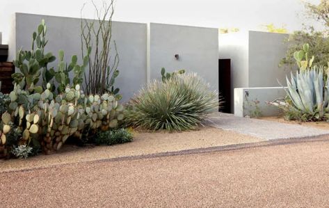 10 Ideas to Steal from Desert Gardens - Gardenista Desert Backyard, Desert Gardens, Mediterranean Garden Design, Modern Desert, Dry Garden, Desert Garden, Desert Homes, Contemporary Garden, Mediterranean Garden