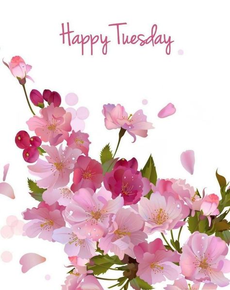 Good Morning Tuesday Pink, Happy Tuesday Flowers, Thoughtful Tuesday, Weekly Greetings, Goog Morning, Tuesday Greetings, Bon Mardi, Morning Wallpaper, Good Morning Tuesday