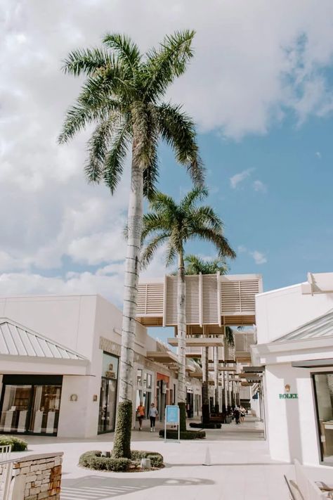 Travel Guide To Naples Florida | Naples.Travel Downtown Naples Florida, Naples Florida Things To Do In, Naples Florida Aesthetic, Florida Photography, Naples Fl, What Time Is, Naples Florida, Real Estate Development, Florida Vacation