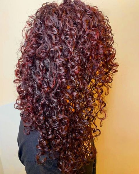 Wine Red Curly Hair Dyed, Red Hair Inspo Curly, Deep Red Curly Hair Natural Curls, Deep Red Hair Color Curly, Black Hair With Red Shine, Red On Curly Hair, Dark Red Hair On Curly Hair, Dark Wine Red Curly Hair, Mahogany Curly Hair