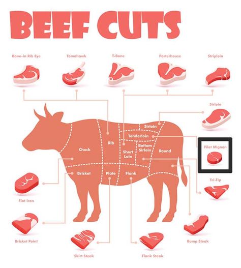 Beef cuts chart showing where is filet mignon on a cow. Beef Cuts Diagram, Best Filet Mignon Recipe, Beef Cuts Chart, Cooking Beef Tenderloin, Whole Beef Tenderloin, Mignon Steak, Filet Mignon Recipes, Filet Mignon Steak, Tenderloin Steak