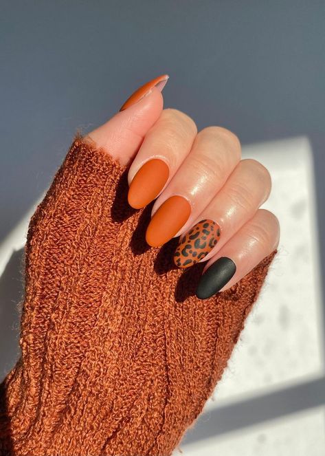 Halloween Nails Colors, Orange And Black Nails Acrylic, Orange Leopard Nails, Novemember Nails, Orange And Black Nails, Black And Orange Nails, Orange Fall Nails, Fall Nail Ideas, Nagellack Trends