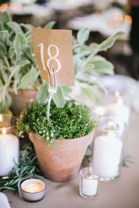 Vintage garden wedding with potted herb centerpieces / http://www.himisspuff.com/wedding-table-numbers-centerpieces/5/ Herb Centerpieces, Affordable Wedding Centerpieces, Herb Wedding, Vintage Garden Wedding, Candle Wedding Centerpieces, Unique Wedding Flowers, Wedding Floral Centerpieces, Sustainable Wedding, Eco Friendly Wedding