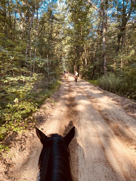 Trail Riding Aesthetic, Horse Trail Ride, Horseback Riding Aesthetic, Summer Camp Aesthetic, Hike Trail, Trail Horse, Fox Hunter, Ride Horse, Horseback Riding Trails