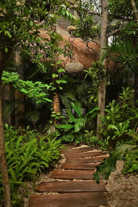 Beach Jungle House, Tiny Tropical House, Forest Beach House, Small Jungle House, Tropical Tree House, Island House Aesthetic, Jungle House Interior, Small Tropical House Design, Jungle House Aesthetic