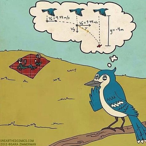 #mathmaniacs #math #maths #mathematics #mathematician #mathjoke #mathhumor #baha #funny #lol #like #life #love #follow #evil #birds #mathclass #mathstudent #mathteacher #mathlover #mathmajor #prealgebra #algebra #geometry #trigonometry #calculus #instamath Physics Funny, Math Cartoons, Physics Jokes, Science Cartoons, Science Comics, Physics Memes, Physics Humor, Nerdy Humor, Science Puns