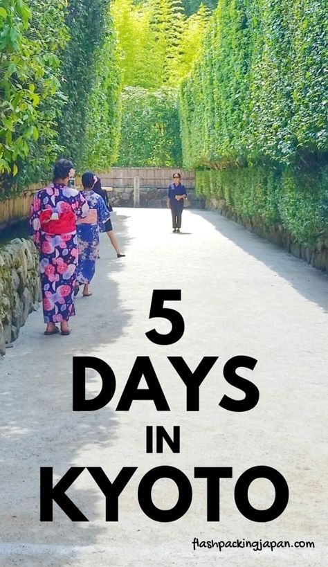 Kyoto itinerary 🍵 5 days in Kyoto can be PERFECT to see historic Japan and rural Japan!🍵 Japan travel blog - Flashpacking Japan Backpacking Japan, World Bucket List, Travel Poses, Rural Japan, Kimono Rental, Kyoto Itinerary, Kyoto Travel Guide, Winter In Japan, Japan Travel Destinations