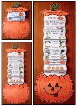 life cycle of a pumpkin, pumpkin crafts, pumpkin life cycle, pumpkin emergent reader, Life Cycle Pumpkin, Pumpkin Emergent Reader, Life Cycle Of A Pumpkin, Pumpkin Lessons, Pumpkin Science, Pumpkin Life Cycle, October Ideas, October Activities, Pumpkin Activities