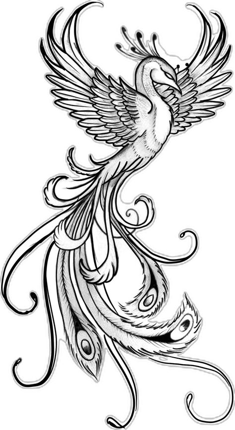 Goth Symbols, Best Friends Tattoo, Tato Phoenix, Phoenix Drawing, Phoenix Tattoo Feminine, Tattoo Leggings, Tattoo Fine Line, Friends Tattoo, Tattoo Tiny