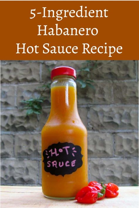 Hot Vinegar Sauce, Make Hot Sauce, Delicious Sauces, How To Make Homemade Hot Sauce, How To Can Hot Sauce, Best Homemade Hot Sauce, Hot Sauce Recipe For Canning, How To Make Hot Sauce Recipes, Easy Hot Sauce