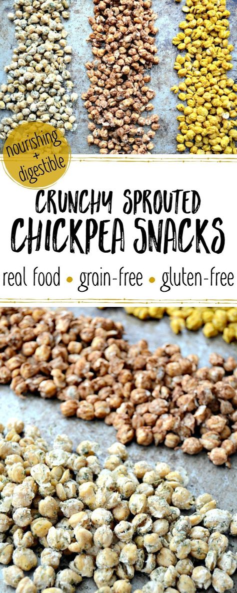 Crunchy Sprouted Chickpea Snacks — 3 Ways! (nourishing & digestible!) Snacks School, Healthy Corn, Chickpea Snacks, Real Food Snacks, Vegetarian Diets, Healthy Vegan Snacks, Healthy Travel, Healthy Snack Ideas, On The Go Snacks