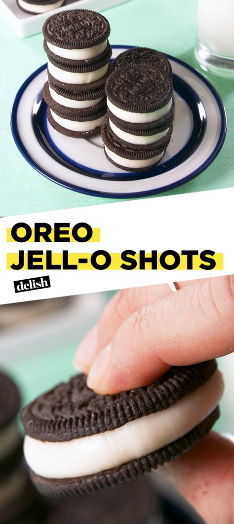 Jello Shots Ideas, Oreo Frappe, Jello Pudding Shots, Jell O Shots, Trendy House, Pudding Shots, Jello Shot Recipes, Boozy Desserts, Shots Ideas