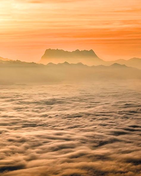 ⛰ Wedged high amidst the mountain ridges of the north, Doi Dam in Wiang Haeng District in Chiang Mai is a much-coveted, but still largely unknown, viewpoint to enjoy nature. Starbursts during a clear night, a sea of mist lingering in the cool morning. But that’s not all; visitors, once there, should take their time exploring the area’s unique offerings. From the Royal Project’s cavier, Thai Yai’s preserved beans, and the historical war trail since the era of King Naresuan the Great. Cool Morning, Enjoy Nature, Chiang Mai, A Sea, The Mountain, Mist, Nature