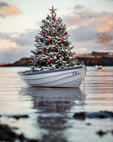 New England Photography 📷 on Instagram: “❄️Photo of the day!❄️ Today's gorgeous photo comes from: @cpphotography328  Stunning capture from Marblehead, Massachusetts! 🎄🛶 Selected by…” Christmas Instagram Pictures, New England Christmas, Coastal Christmas Tree, Picture Tree, Beachy Christmas, Merry Christmas Pictures, Nautical Christmas, Beach Christmas, White Christmas Decor