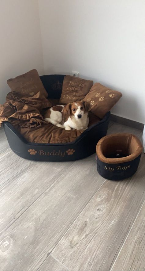 Luxury Pet Room, Big Dog Bed, Unique Dog Beds, Leather Dog Bed, Big Dog Beds, Stylish Dog Beds, Luxury Dog Bed, Pet Room, Luxury Pet Beds