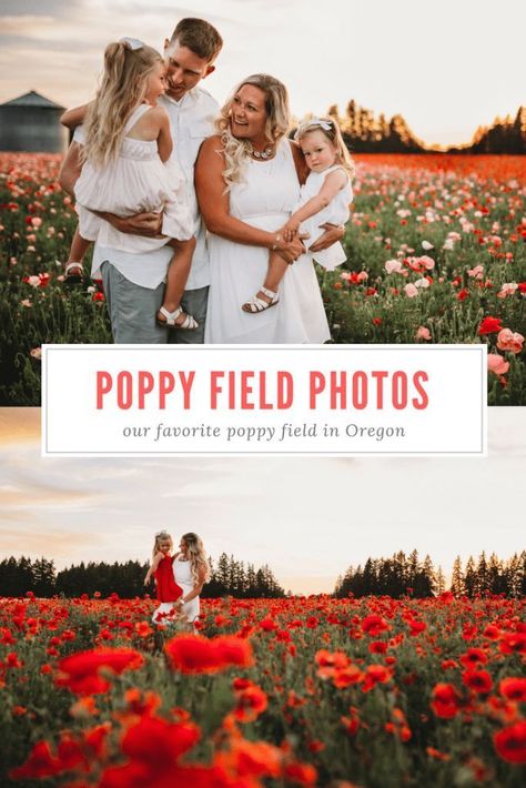 Visiting the Oregon Poppy fields! Our golden hour photo shoot in the beautiful poppy fields was even more breathtaking in person. I will tell you exactly how to find this hidden gem just south of Portland! #poppies #poppy #poppyfields #flowerfields #golde Poppy Garden, Poppy Fields, Golden Hour Photos, Golden Hour Photography, Toddler Girl Style, Poppy Field, Parenting Memes, Interesting Reads, Mom Hacks