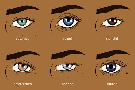 Eye Shape Chart, Almond Shaped Eyes, Almond Eyes, Applying Eye Makeup, 얼굴 그리기, Best Makeup Tips, Bedroom Eyes, Types Of Eyes, Round Eyes