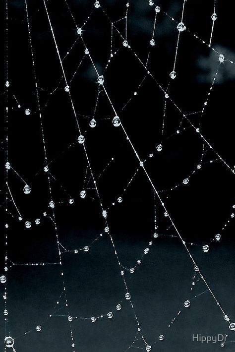 Glistening Spiders Web by HippyDi Poem Illustration, Shin Hati, Mermaid Jewellery, Uicideboy Wallpaper, Spiders Web, Spider Web Decoration, Chalk Sign, Beaded Spiders, Gothic Wallpaper