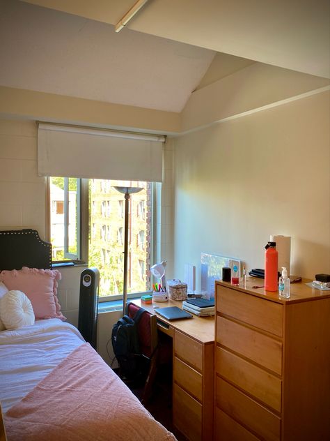 Pink college dorm room decor bedroom inspo Harvard Dorm Room, Dorm Room Inspiration College, Home Backyard Ideas, Dorm Room Ideas Pink, Harvard Dorm, Wallpaper Backgrounds Vintage, Room Ideas Dorm, Dorm Lighting, Diy Gallery Wall