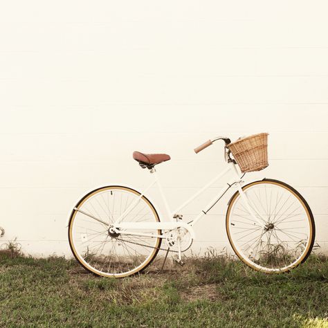 Tan Accessories, Beach Cruiser Bicycle, Cruiser Bicycle, Beach Cruiser, Beach Condo, Vintage Beach, Photography Inspo, All White, Bicycle