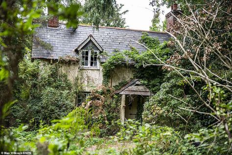 Old Cottage In The Woods, Abandoned Cottage, Hansel And Gretel House, Witch's House, Old Abandoned Houses, Broken Window, Cottage In The Woods, Old Cottage, Witch House