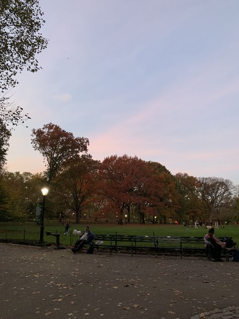 Central Park Aesthetic Night, City Park Aesthetic, Park Aesthetic Night, New York Fall Aesthetic, Parque Aesthetic, Central Park Aesthetic, New York City Fall, Movie Scrapbook, Central Park Fall