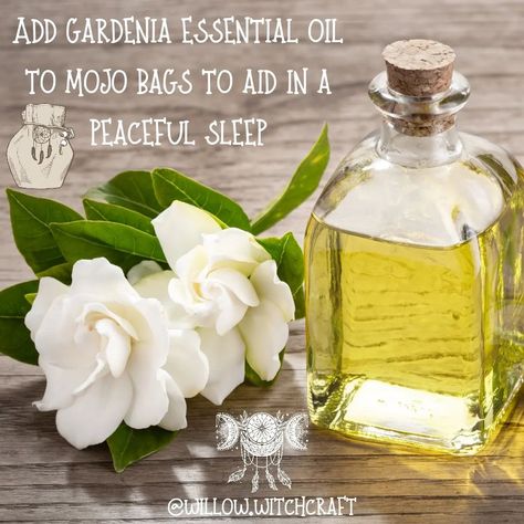 Gardenia Magickal Tip #topicoftheday #todaysposts #gardenia #gardeniamagick #gardeniamagickalproperties #magick #witchcraft #magickaltips #magickalproperties #flowermagick #essentialoil #gardeniaessentialoil #themagickofflowers Gardenia Essential Oil, Essential Oils, On Instagram, Quick Saves, Instagram