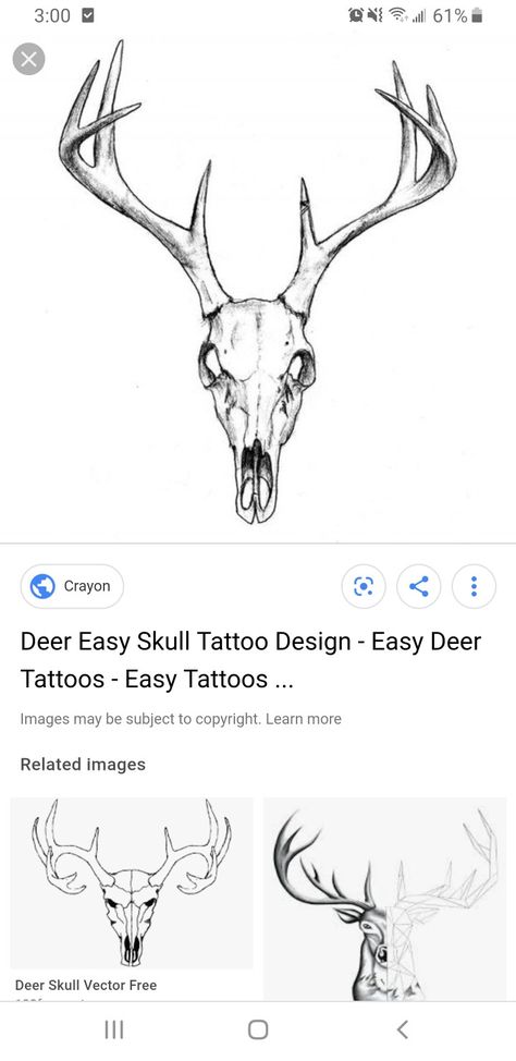 Men’s Deer Tattoo, Reindeer Skull Tattoo, Deer Skull Tattoo For Men, Reindeer Skull, Deer Skull Tattoo, Moose Skull, Deer Skull Tattoos, Skull Sketch, Deer Horns