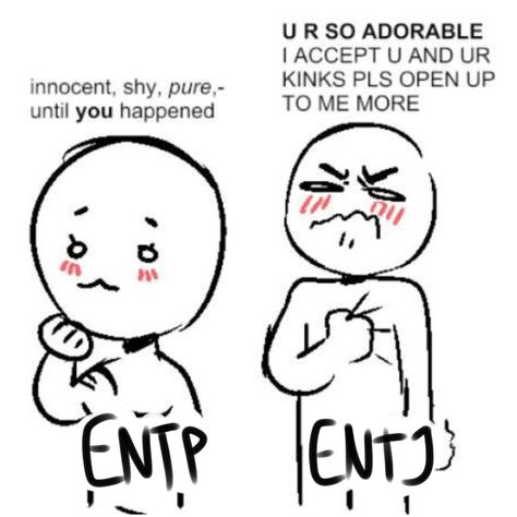 Entp X Entj Relationship, Entp Male, Entj Male, Entp Female, Entp Things, Entj Relationships, Explorers Mbti, Entp And Intj, Mbti Intp