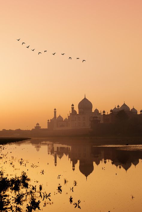 One Day In Taj Mahal by Arif Kaser Tac Mahal, تاج محل, Mekka Islam, Taj Mahal India, 10 Interesting Facts, Seven Wonders, Incredible India, Beach Aesthetic, India Travel