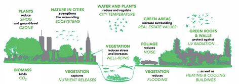 A city without ecosystem services is neither attractive nor alive. Creating, protecting and developing ecosystem services in urban areas can reduce ecological footprints while enhancing resilience and improving health and quality of life. By incorporating green spaces with plants and water courses, we can establish urban ecosystem services. Green-blue structures, the ground they rest on, and the animals, birds and insects that live there will provide us with the ecosystem services we need. Green Ecosystem Services, Home Fountain, Urban Gardens, Concept Models Architecture, Eco Architecture, Ecological Footprint, Ya Allah, Architecture Drawing Art, Urban Area