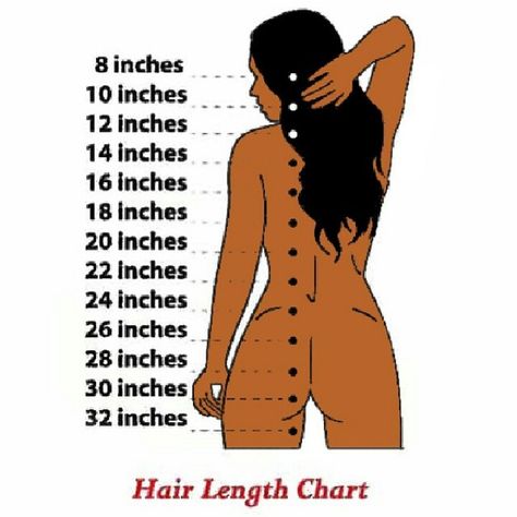 Hair length chart Hair Inches Chart, Stem Hairstyles, Wig Tools, Simply Wigs, Week Hairstyles, Hair Length Guide, Quotes Rainbow, Wig Business, Hair Chart