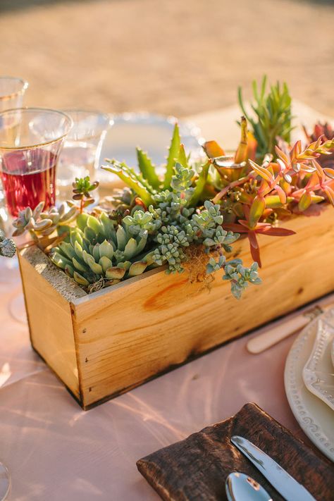 Sustainable Centerpieces, House Plant Table Centerpiece Wedding, Branded Centerpieces Corporate, Minimal Tropical Centerpiece, Succulent Centre Pieces, Corporate Event Centerpieces, Winery Decor, Sunstone Villa, Wedding Winery