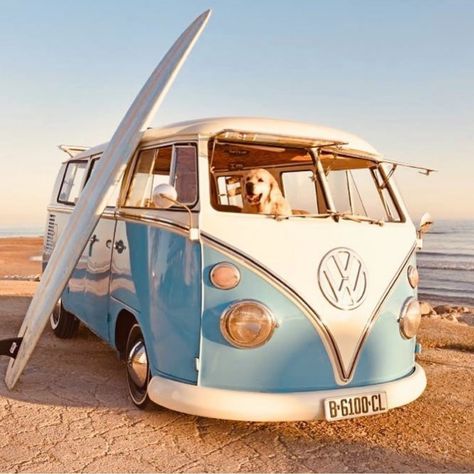 I LOVE MY COMBI - VW CAMPERVAN on Instagram: “💥 @volkswagen_combi • 📸 Awesome shoot from → @lafurgonetazul 🔍 Follow us for more daily pictures” Combi Hippie, Vans Aesthetic, T1 Bus, Volkswagen Vans, Campervan Rental, Image Moto, Volkswagen Van, Vintage Vw Bus, Surf Vibes