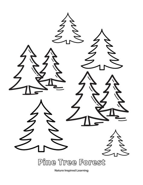 Stained Glass Patterns Free Printables Pine Tree Templates, Pine Tree Worksheet, Pine Tree Outline Printable, Pine Tree Outline, Winter Tree Template Free Printable, Trees Coloring Pages, Pine Tree Silhouette Printable, Star Template Printable, Kindergarten Coloring Sheets