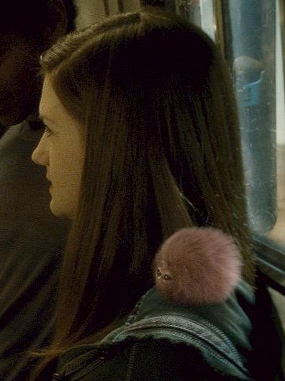 Pygmy Puff. It's not the best image quality, but it's the best I could find. Orange or turquoise would be fantastic. Pygmy Puff, Harry Potter Ginny Weasley, Hp Movies, Harry Potter Ginny, Harry Potter Dolls, Harry And Ginny, Bonnie Wright, Potter Facts, Fred Weasley