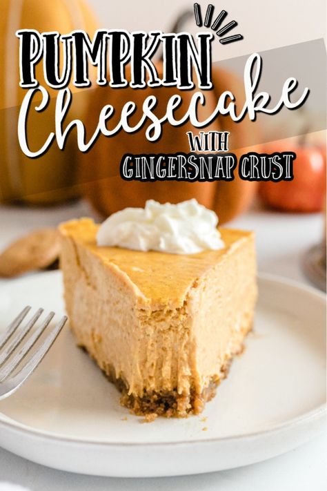 Pumpkin Cheesecake with Gingersnap Crust - Spaceships and Laser Beams Ginger Snap Cheesecake Crust, Pumpkin Cheesecake With Gingerbread Crust, Pumpkin Cheesecake With Ginger Snap Crust, Ginger Snap Crust Cheesecake, Pumpkin Cheesecake Gingersnap Crust, Autumn Cheesecake, Pumpkin Cheesecake With Gingersnap Crust, Pumpkin Cheescake, Cheesecake With Gingersnap Crust