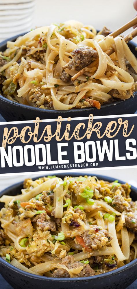 Ground Pork Pot Sticker Bowl, Pork Noodles Recipe Soup, Ramen With Ground Pork, Pot Sticker Bowl, Potsticker Appetizer, Dinner Ideas Ground Pork, Pot Sticker Noodle Bowl, Potsticker Noodle Bowl, Recipes With Ground Pork Sausage