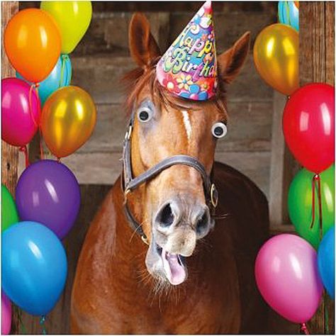 Funny Horse Birthday Card Goggly Moving Eyes, Party Hat & balloons Greeting Card Funny Happy Birthday Pictures, Birthday Wishes Messages, Birthday Wishes Funny, Horse Birthday, Happy Birthday Funny, Birthday Quotes Funny, Happy Birthday Pictures, Funny Happy Birthday, Funny Horse