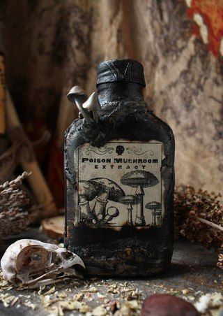 Mushrooms Halloween Potion Bottles, Halloween Bottles, Anniversaire Harry Potter, Halloween Potions, Goblin Core, Altered Bottles, Potion Bottle, Witch Aesthetic, Fantasy Aesthetic