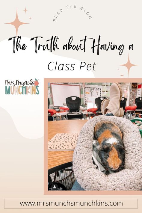 Thinking about getting a classroom pet for your class? Read the blog to find out if getting a class pet is right for you, how to get started with a class pet, classroom management ideas, and class involvement! Comprehensive post that covers so much important information about having a class pet and I try to answer all the questions about class pets you may have! Class Pets, Classroom Management Ideas, Classroom Pets, Class Pet, Classroom Songs, Teaching Second Grade, Classroom Decor Themes, Teacher Style, A Classroom