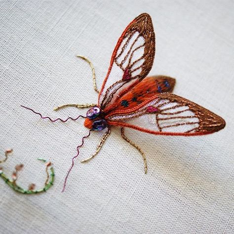 Tropical moth  #embroidery #handembroidery #stumpwork #goldwork #silkshading #stitch #decorative #insect #bug #moth #wings #nature #3D Stump Work Embroidery, Stump Work, Brazilian Embroidery Stitches, Hardanger Embroidery, Embroidery Patterns Vintage, Learn Embroidery, Brazilian Embroidery, 자수 디자인, Silk Ribbon Embroidery