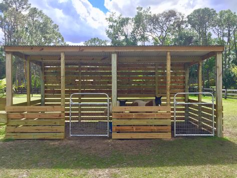 Paddock Ideas, Simple Horse Barns, Livestock Barn, Livestock Shelter, Goat Shelter, Horse Farm Ideas, Diy Horse Barn, Earth House, Horse Barn Ideas Stables