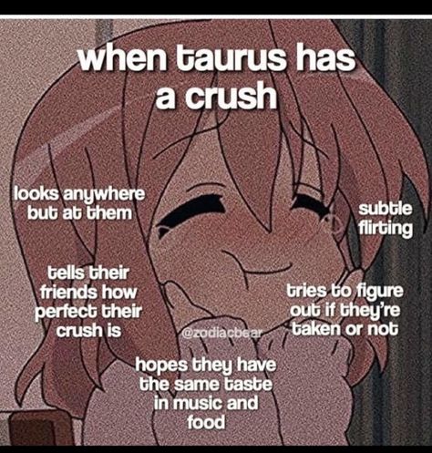 Taurus Journal, Taurus Zodiac Quotes, Taurus Memes, Zodiac Signs Pictures, Taurus Zodiac Facts, Taurus Quotes, Astrology Taurus, Zodiac Funny, Zodiac Signs Taurus