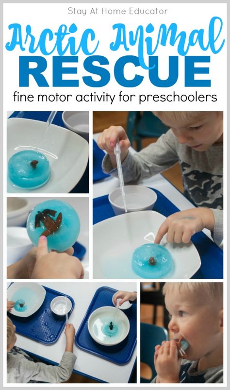 Looking for some science activities for preschoolers? This one fits into your Arctic theme, polar animals theme, or winter themes in preschool. Teach about the states of matter with this science experiment. Work on fine motor skills and emergent writing, too. This arctic theme activity works well at the sensory table, too. Include it in your homeschool preschool activities. Arctic Animal Stem Activities, Antarctic Animals Preschool, Arctic Animal Movement Cards Free, Polar Preschool Activities, Antarctica Preschool Activities, Arctic And Antarctic Activities, Preschool Animals In Winter, Activity Preschoolers, Arctic Animals Preschool Activities