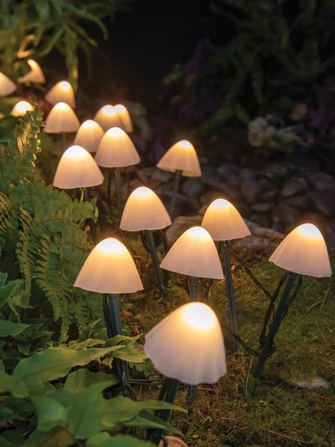 Forest Light Shade, Fairy Shaped Lights, Fairy Garden Quinceanera Theme Night Lights, Olive Green Lights, Forest Theme Birthday Aduly, Tea Lights On Forest Path, Tea Lights Hanging From Tree, Yard Art Wedding, Forest Chandelier Wedding