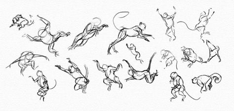 practice poses jumping monkeys Winged Monkeys, Monkey Pose, Movement Drawing, Facial Expressions Drawing, Monkey Drawing, Monkey Illustration, Monkey Tattoos, Childhood Stories, Monkey Design