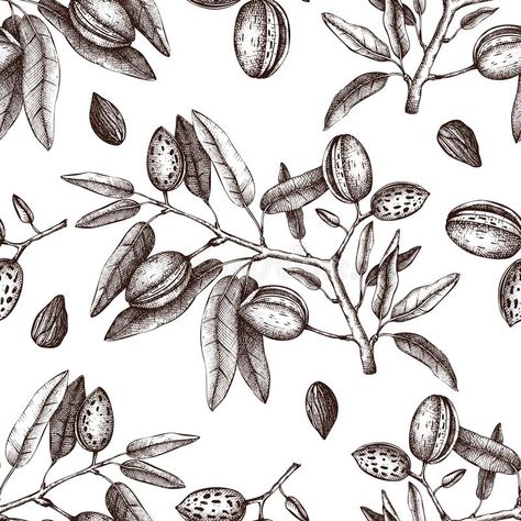 Vector Almond background. Hand drawn nut tree sketch. Botanical seamless pattern , #Ad, #drawn, #nut, #tree, #Hand, #Vector #ad Almond Illustration, Plants Drawing, Pine Tree Art, Tree Sketch, Chocolate Packaging Design, Forearm Tattoo Design, Tree Sketches, Plant Drawing, Natural Logo