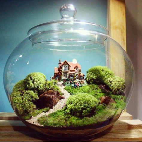 Image may contain: plant Garden Water Features, Terrarium Scene, Fairy Terrarium, Miniature Terrarium, Beautiful Terrariums, Mini Terrarium, Meditation Garden, Fairy Garden Designs, Succulent Garden Diy