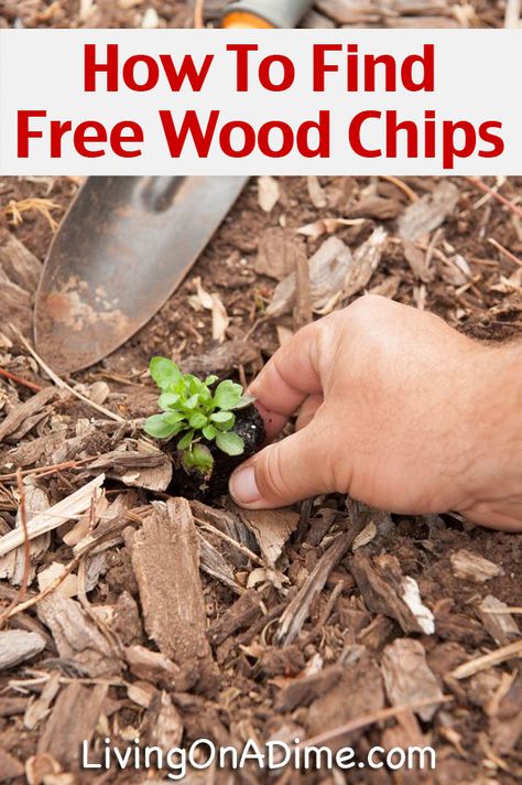 Wood Chips Garden, Wood Chip Mulch, Garden Mulch, House Gardening, Mulch Landscaping, Money Saving Recipes, Living On A Dime, Wood Mulch, Garden Goals